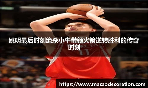 姚明最后时刻绝杀小牛带领火箭逆转胜利的传奇时刻